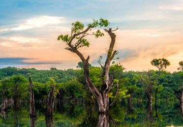 Experto de Nat Geo: “La deforestación, la destrucción del hábitat y el cambio climático son los problemas más grandes que tenemos”